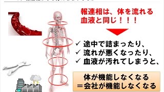 報連相とは【報連相の技術 ：第１章】 [upl. by Klimesh]