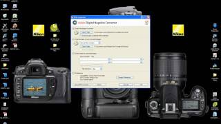 How to Convert a RAW File to Adobe DNG [upl. by Enimaj956]