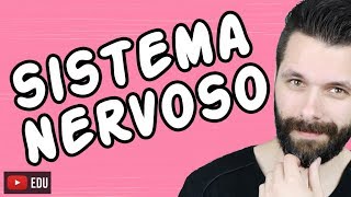 SISTEMA NERVOSO  FISIOLOGIA  Aula  Biologia com Samuel Cunha [upl. by Asante113]