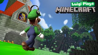 Luigi playsMinecraft  Weegeepie 1M Special [upl. by Jews]