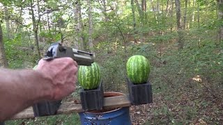 50 AE Desert Eagle vs Watermelons [upl. by Tabbie]