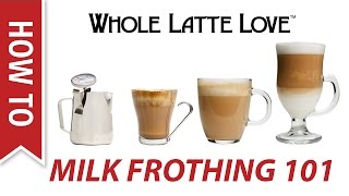 Milk Frothing for Beginners [upl. by Eiramasil417]