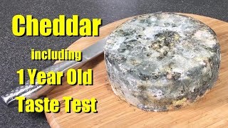 How to make Cheddar Cheese with all Updates and Taste Tests [upl. by Ellemac]