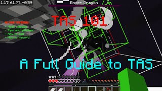 TAS 101  The Full Guide To TAS in Minecraft [upl. by Alberta]