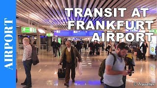 TRANSIT WALK AT FRANKFURT Airport FRA Terminal 1  Connection Flight Transfer Arriving amp Departing [upl. by Serilda]