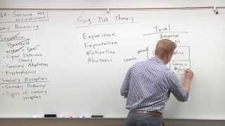 2015 MCAT Psychology 5  Signal Detection Theory [upl. by Faletti]